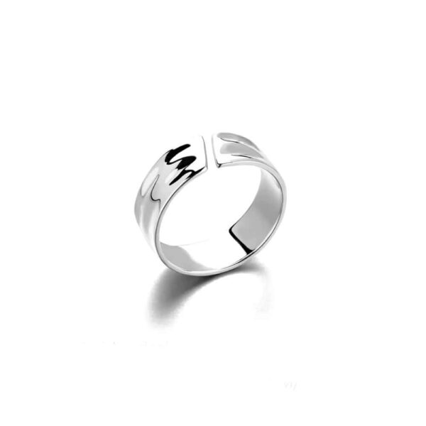 Vector Ring
