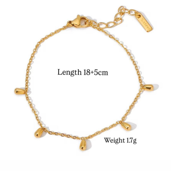 Siri Anklet